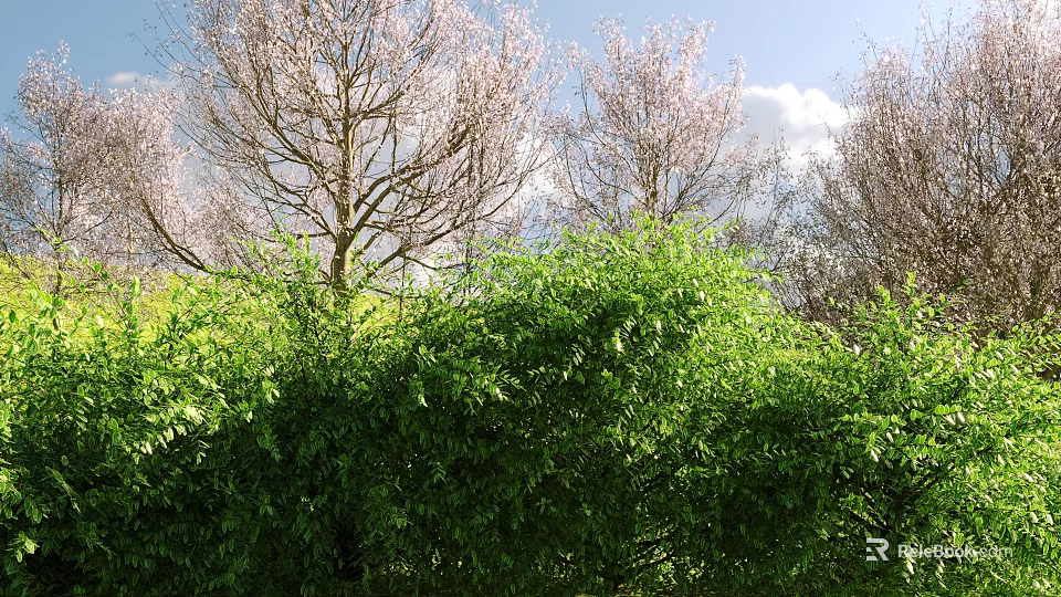 Lush Green Shrubs With Trees Bearing Pink Blossoms Under Blue Sky And White Clouds 3d model 