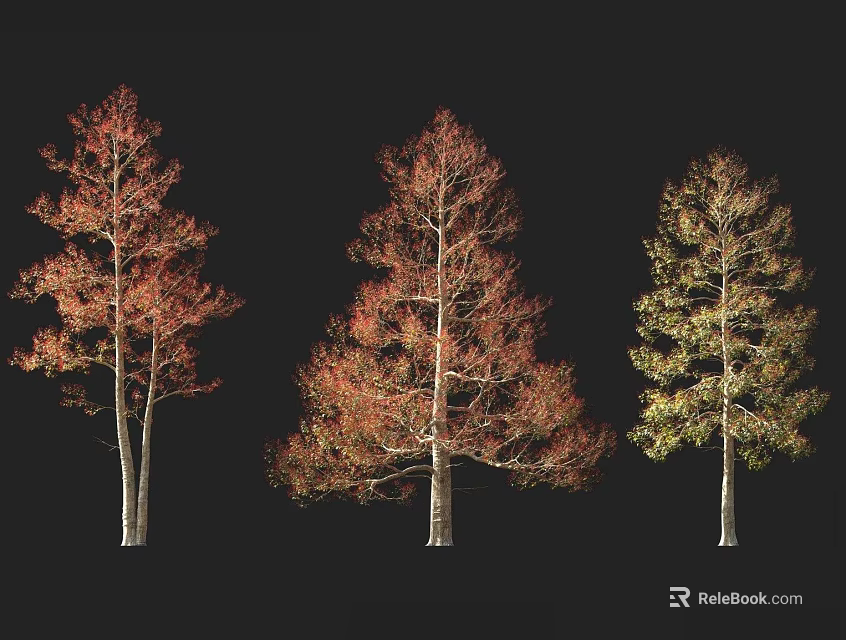 Three Arbor Trees Featuring Red Orange And Yellow Green Foliage On Black Background 3d model 