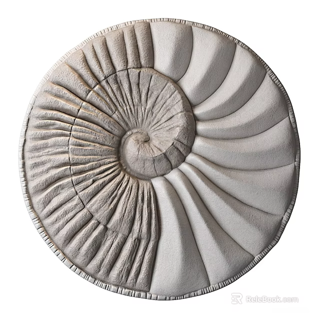 Modern Spiral Nautilus Wall Decor with Textured Gray and White 3D Design 3d model 