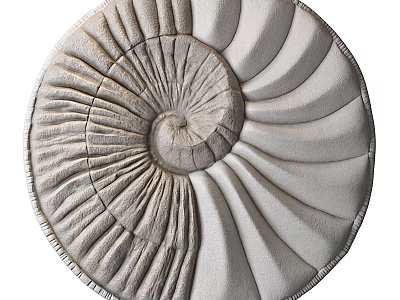 Modern Spiral Nautilus Wall Decor with Textured Gray and White 3D Design 3d model