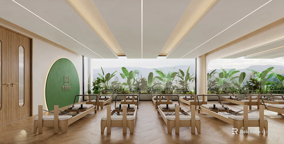 Modern Pilates Studio With Natural Light And Plants 3d model 
