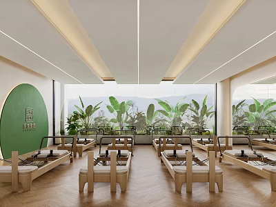 Modern Pilates Studio With Natural Light And Plants 3d model
