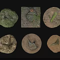 Different Natural Fossil Specimens With Moss Covered Rocks And Ancient Remains