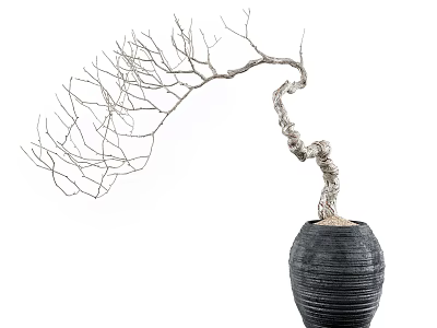 Elegant Garden Ornament With Curved Bare Branches In Black Woven Pot 3d model