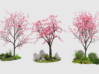 Ornamental Pink Flowering Arbor Trees With Rocks And Green Plants In Garden 3d model
