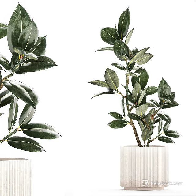 Modern Decorative Bonsai Potted Plant With Lush Green Leaves In White Textured Ceramic Pot 3d model 