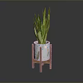 Green Variegated Leaf Plant In White Pot With Colorful Patterns On Wooden Stand