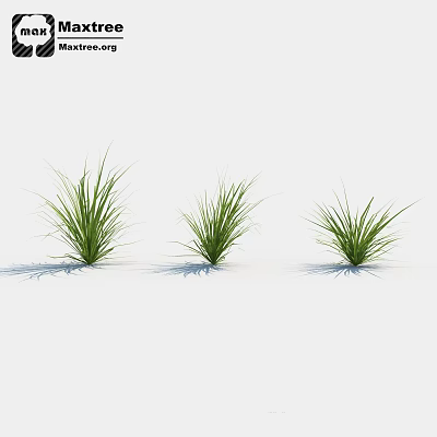 Three Clumps of Fresh Green Grass with Shadows on White Background 3d model