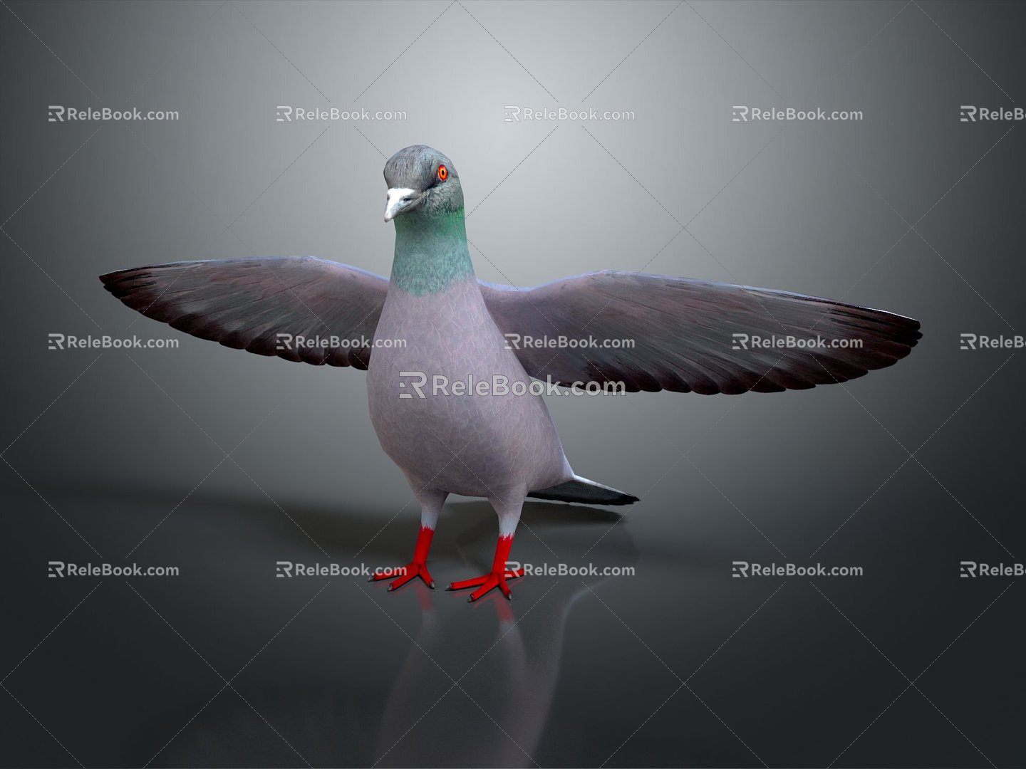 Modern pigeon food pigeon play pigeon 3d model