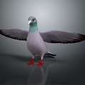 Modern pigeon food pigeon play pigeon 3d model