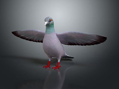 Modern pigeon food pigeon play pigeon 3d model