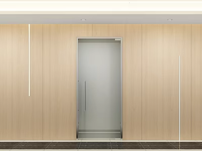 Modern Elevator Hallway With Wooden Walls Glass Door And Recessed Lighting 3d model