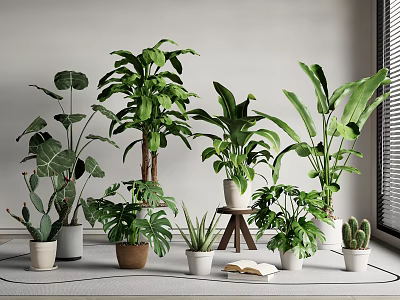 Indoor Potted Plants Varieties In Different Pots For Bright Room Decor 3d model