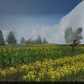 Sturdy Swing Door For Country House In Yellow Flower Field With Mountain Background