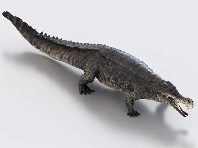 Realistic Crocodile Reptile Standing With Open Mouth On White Background 3d model