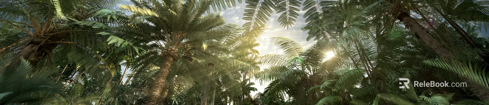 Tall Tropical Forest Trees With Broad Leaves And Sunlight Filtering Through Sky Clouds 3d model 