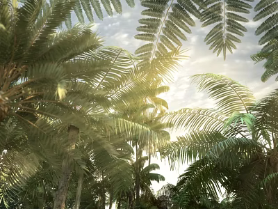 Tall Tropical Forest Trees With Broad Leaves And Sunlight Filtering Through Sky Clouds 3d model