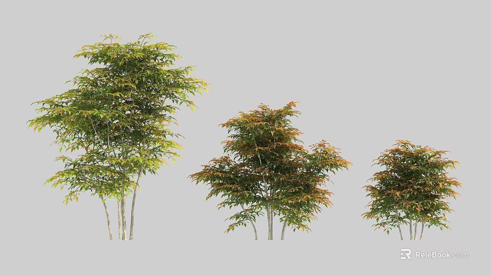 Three Different Size Shrubs With Green And Orange Foliage For Garden Landscaping 3d model 