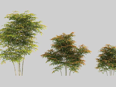 Three Different Size Shrubs With Green And Orange Foliage For Garden Landscaping 3d model