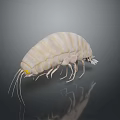 Game Movie Character White Striped Isopod Like Creature With Yellow Eyes And Multiple Legs