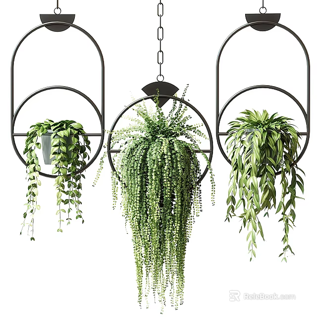 Three Lush Hanging Basket Plants With Black Metal Frames And Trailing Green Leaves 3d model 