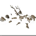 Scattered Animal Skeletons with Deer Antlers and Multiple Bone Structures on White Background