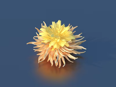 Beautiful Vibrant Yellow Orange Flower with Layered Radiant Petals on Deep Blue Background 3d model
