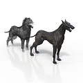 Detailed Black Dog Sculptures Carving Two Different Breeds on White Background