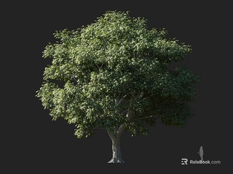 Tall Arbor with Lush Green Foliage Strong Trunk and Silhouette Figure 3d model 