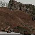 Natural Terrain With Rocks Sandy Ground Low Shrubs And Moss Covered Stones