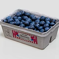 Full of Plump Juicy Fresh Blueberries in Cardboard Container with Label