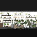 Flora Florist Shop With Various Green Plants And Decorative Plant Displays