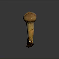 Modern matsutake mushroom straw mushroom 3d model