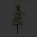 Isolated Tree with Brown Trunk and Green Leaves on Gray Background 3d model