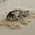 Zebra striped cat curled up sleeping on cream colored furry mat