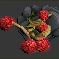 Decorative Bonsai Plant With Red Leaves Curved Trunk And Stone Base
