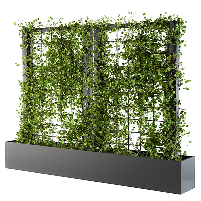Climbing Vines Growing On Metal Grid Structure With Green Foliage In Decorative Planter Box 3d model