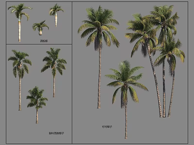 Various Palm Tree Varieties with Diverse Trunk and Foliage for Landscape Design 3d model