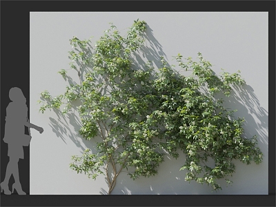 Modern Vine Wall 3d model