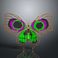 Artistic Butterfly Design With Green Purple Circles And Golden Wing Frame