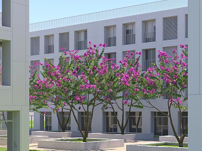 Purple Flowering Arbor Trees In Modern Building Courtyard With Lush Foliage 3d model