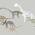 Dinosaur skeleton specimen 3d model