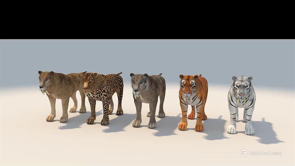 Various Reptile Models Showcasing Different Species In Natural Postures 3d model 