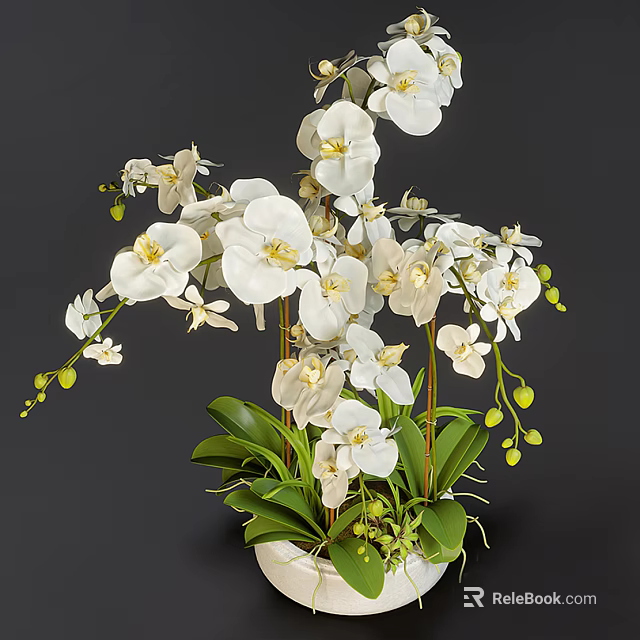 Elegant White Orchid Garden Decor With Green Leaves And Flower Buds 3d model 