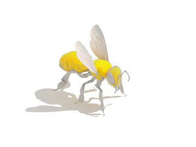 Detailed Yellow Flying Bee With Transparent Wings And Shiny Body On White Background 3d model