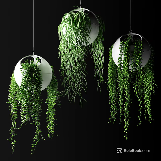 Lush Green Hanging Basket Plants with Trailing Foliage for Indoor Home Decorative Arrangement 3d model 