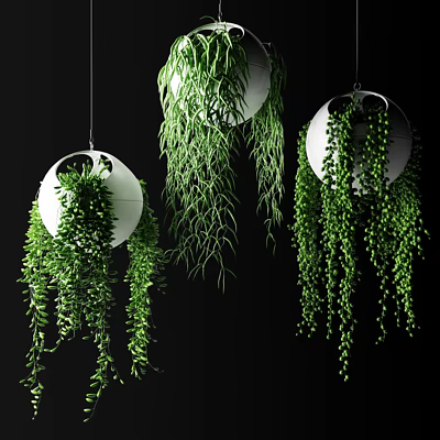 Lush Green Hanging Basket Plants with Trailing Foliage for Indoor Home Decorative Arrangement 3d model