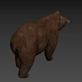 Realistic Brown Bear 3D Model Standing On Gray Background With Shadow