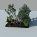 Diverse Plant Combination With Tall Trees Pink Flowering Plants Green Shrubs And Mixed Foliage