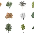 The Modern Tree 3d model